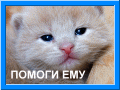 Pets-info.ru
